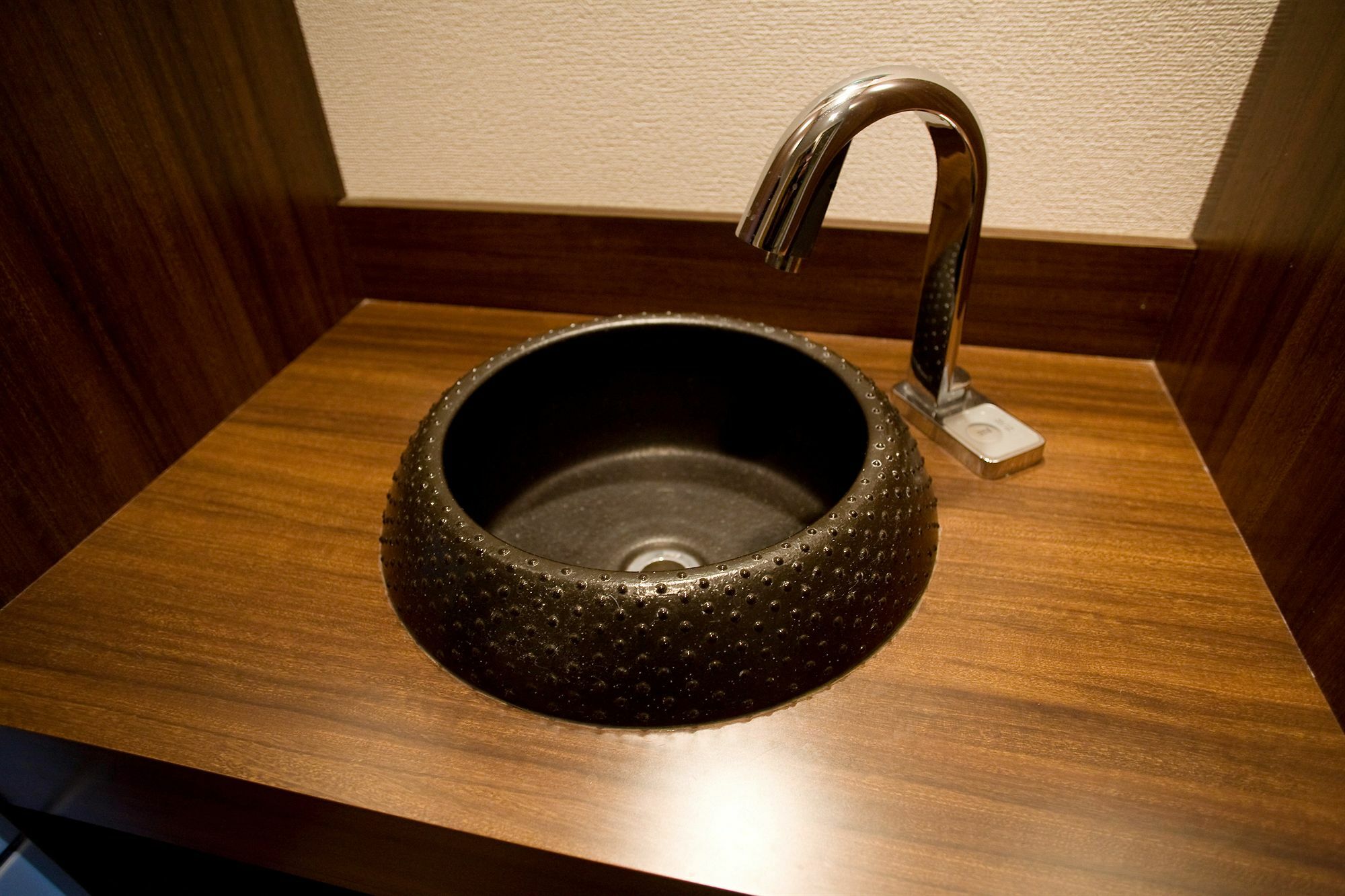 Tabist Sparkling Dolphins Kyōto